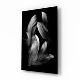 Feather Glass Wall Art.